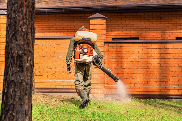 Bed Bug Clearance Verification and Documentation in Tukwila